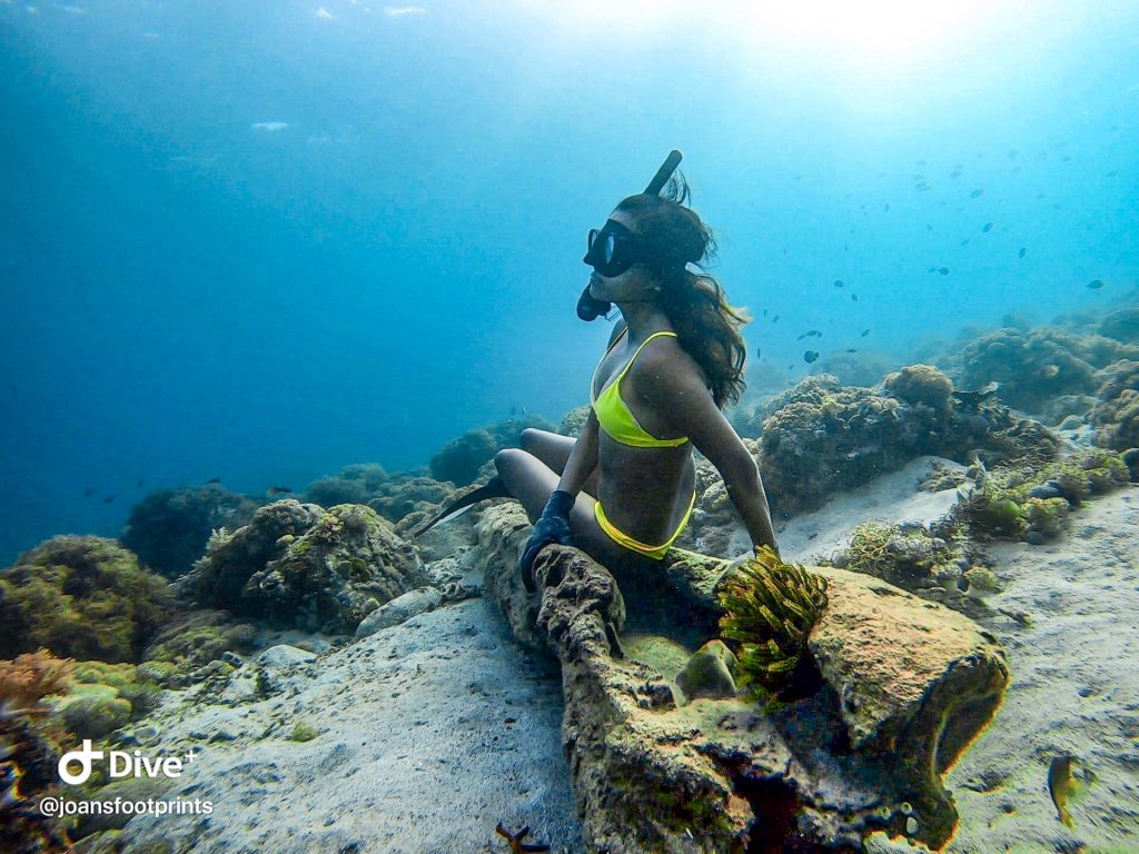 A Mermaid’s Life