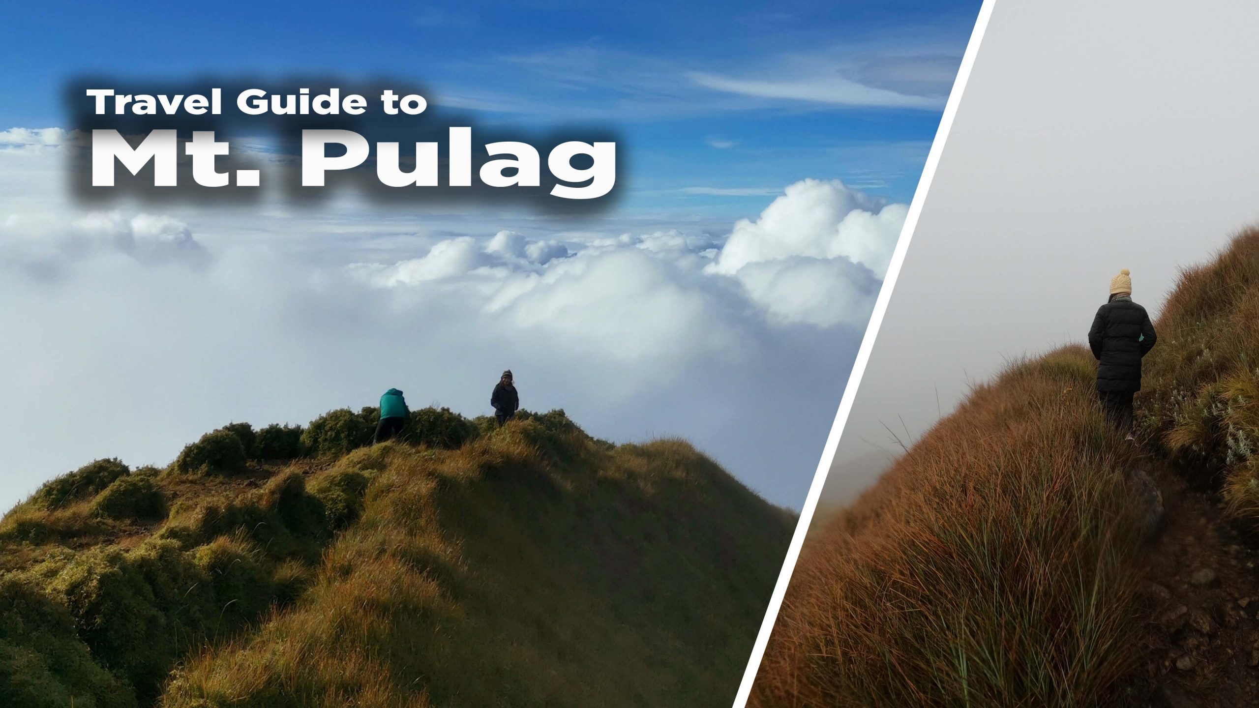 2023 First-timers Guide to Mt Pulag: Highest Mountain in Luzon ...